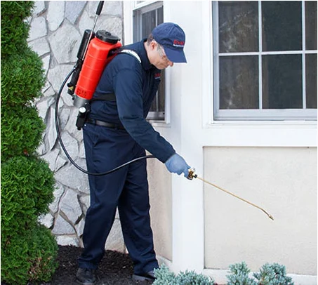 How To Get Rid Of Pests: Step-By-Step Guide