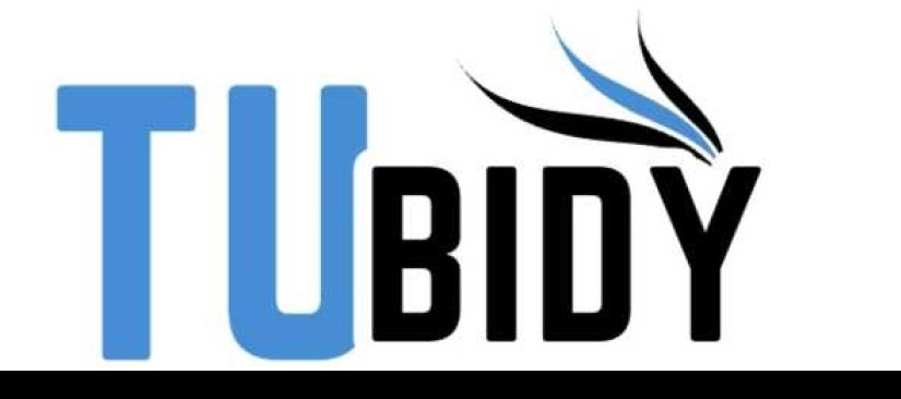 The Ultimate Tubidy Music Downloads Guide